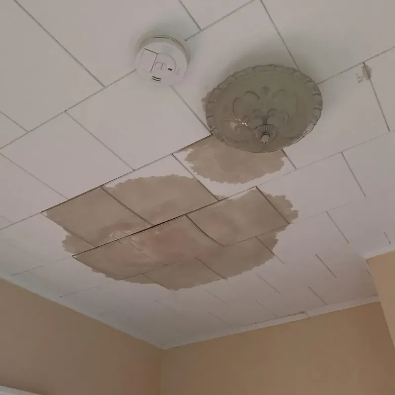 Ceiling Water Damage Repair in North Patchogue, NY